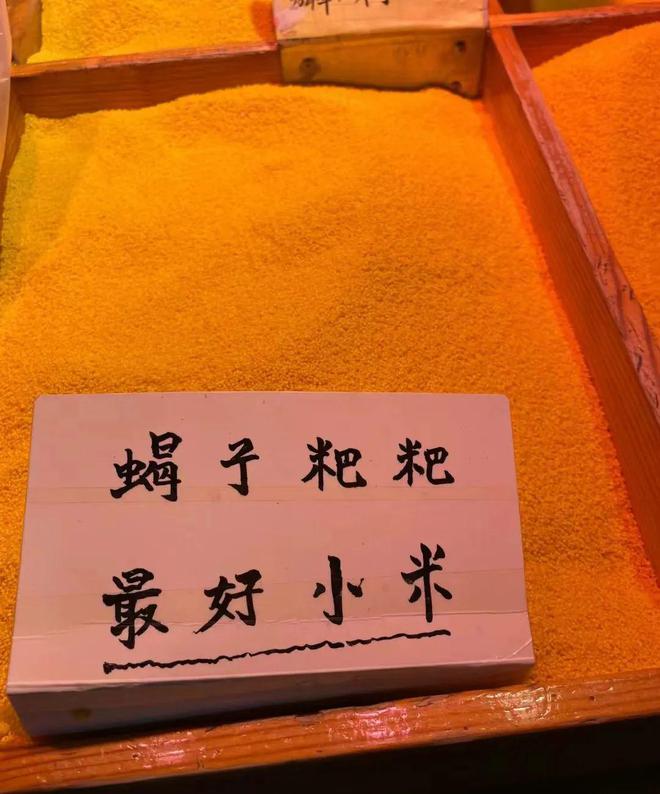 去过天津，才知道松弛感的极限在哪