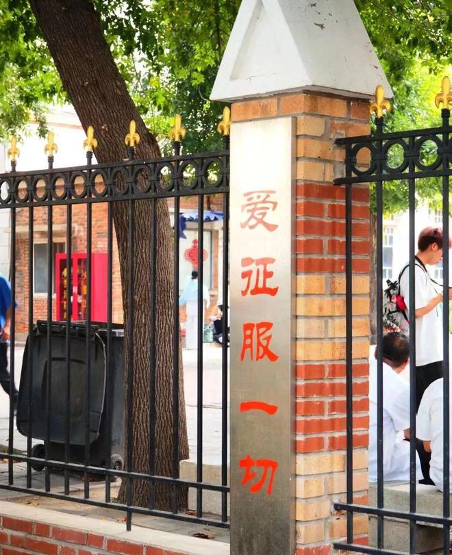 去过天津，才知道松弛感的极限在哪