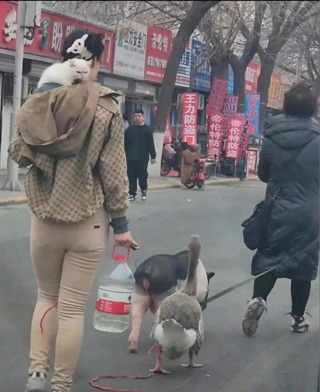 去过天津，才知道松弛感的极限在哪