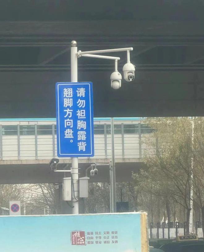 去过天津，才知道松弛感的极限在哪